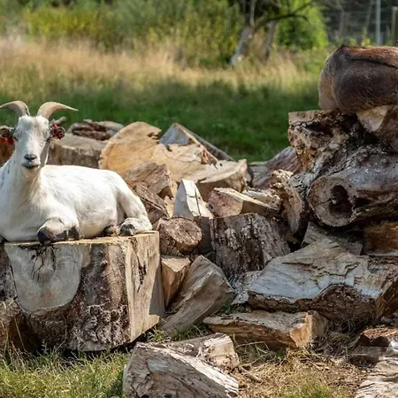 3 Etoiles - Piscine - Ccbbehi 营地 *